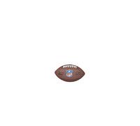 Wilson NFL MINI MICRO American Football Mixed Leather Micro Size Brown WTF1