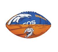 WILSON NFL Team Alliance Footballs