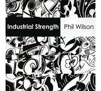 WILSON PHIL - INDUSTRIAL STRENGTH 2X7 - Vinyl Record 7Inch - K600z