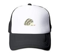 Wilson Phillips-So Far [VHS]