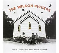 Wilson Pickers - You Can't Catch Fish From A Train [VINYL]