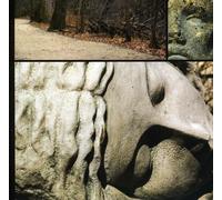 Wilt - Cemetery Road/Dead Electroniks