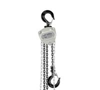 Wiltec Manual Chain Hoist 250 kg, Lifting Height 3 m, with 3 m Load Chain, Equipment for Raising and Lowering Heavy Loads