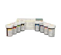 Wilton Icing Colour 8 Colour Icing Set