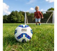 Wilton Bradley Plastic Football