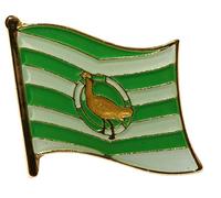 Wiltshire County Flag Pin Badge
