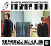 Wim Van Hasselt; Koen Plaetinck - Imaginary Mirror: Art'uur