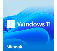 Win Home 11 64Bit DSP 1pk German DVD|Home|1 Licence|N/A|PC|Disc|Disc (The Packaging May Vary)