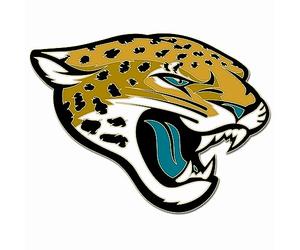 WinCraft NFL Jacksonville Jaguars 47442013 Collector Pin Jewelry Card