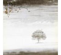 Wind and Wuthering