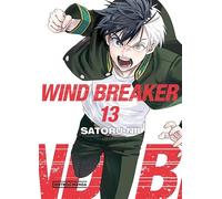 Wind Breaker 13 (Shônen)