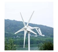 Wind Generator, Small Wind Turbine Generator Fit for Home Lights Windmill 800W with Controller Gift All Sets