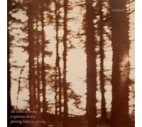 Wind Is Strong (White In Clear Vinyl)-CINDYTALK