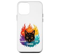 Wind Shadow River Star Thunder Sky Cat Feline Warriors Case for iPhone 12 mini