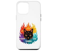 Wind Shadow River Star Thunder Sky Cat Feline Warriors Case for iPhone 12 Pro Max