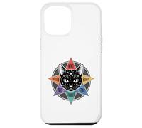 Wind Shadow River Star Thunder Sky Cat Feline Warriors Case for iPhone 12 Pro Max