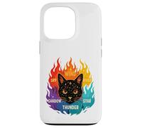 Wind Shadow River Star Thunder Sky Cat Feline Warriors Case for iPhone 13 Pro