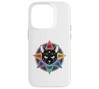 Wind Shadow River Star Thunder Sky Cat Feline Warriors Case for iPhone 14 Pro
