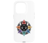 Wind Shadow River Star Thunder Sky Cat Feline Warriors Case for iPhone 15 Pro
