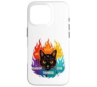 Wind Shadow River Star Thunder Sky Cat Feline Warriors Case for iPhone 16 Pro