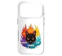 Wind Shadow River Star Thunder Sky Cat Feline Warriors Case for iPhone 17 Pro