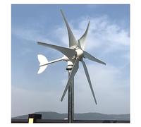 Wind Turbine 800w 1000w 2000w 48v 24v 12v With MPPT Controller System Portable Windmills Renewable Energy 3/5/6 Blades High-Efficiency Output(1000w 5 B,Wind Turbine Only,12V)