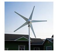 Wind Turbine, Alternative Energy Generators 400W Wind Come with Charge Controller Optional 12V 24V(Hybrid Controller,5 Blades,24)