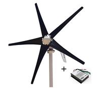 Wind Turbines, 400W AC12V/24V Colorful Wind Turbine Generator Small Windmill For Home Or Boat Use With 600W Wind Controller(5 black blades,AC24V)