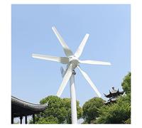 Wind Turbines, 800W 12V 24V Wind Turbine Generator Low Wind Speed Start Low Noise Wind Generator Easy Installation Wind Generator Oversized Blade MPPT Control(800w 6 Blades,MPPT Controller,Onecolor)