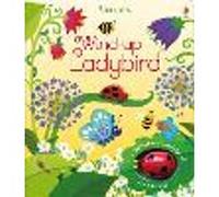 Wind-up Ladybird