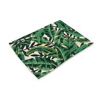 Windhager RootXtender, Propagation Indoor Greenhouse for 40 Plants, Root School Propagation Tray for Seeds, Root Trainer Propagator for Best Root Formation