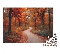 Winding Path through Autumn Forest with Deciduous Trees 1000pcs (75x50cm) Erwachsenenpuzzle - Erwachsenenpuzzle DIY-Puzzlespielzeug