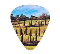 Winding Road Guitar Picks with Organizer Storage Box Guitar Plectrums 12PCS 3 Thickness Thin Medium Heavy 0.46 0.71 0.96mm Guitar Picks For Acoustic Electric or Bass Guitars