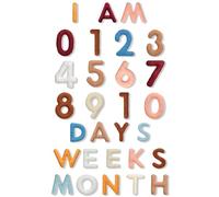Windkream 29 Pcs Felt Monthly Milestone Decor Numbers and Letters Growth Recording Photography Props, 1-12 Months Milestone Number Sign Decor for Growth Recording Celebration Presents(Boho Color)