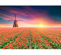 Windmills and Tulips Jigsaw Puzzles for Adults 1000 Jigsaws Holland Dutch Scenery 1000 Piece Jigsaw Puzzles for Adults Age 14+