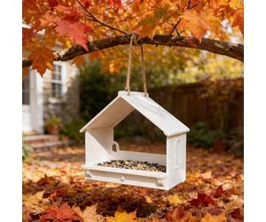 Window Bird Feeder Designed for Quiet Indoor Watching, Reduces Outdoor Disturbance While Supporting Local Bird Populations