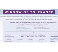 Window of Tolerance Laminated Card