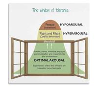 Window of Tolerance Poster Teaching Trauma Informed Response