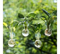 Window Propagation Stations, Propagation Vases for Plants, Bulb Glass Vases with Suction Cup Hooks, Easy to Install Nailless Hanging Wall Planter, Hydroponics Plant Propagation Station (4)