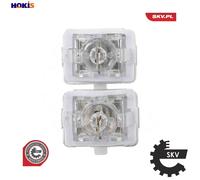 WINDOW REGULATOR 01SKV242 FOR BMW X5/SAV/E53 M57D30 2.9L 6cyl X5 SAV E53A 4.4L