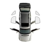 Window Shades Sunscreen Window Sunshade Sun Blind Cover Interior Part Car Visor Accessories For Citroen For Xsara For Picasso 2000 2001 2002-2008 2009 2010 Car Sunshade(Rear Windows)