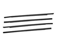 Window Weatherstrip for Civic 2016-2019 Rubber Door Moulding Trim Outer Glass Seal Belts
