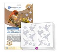 WindowAlert Hummingbird Anti-Collision Decal 4 Pack - UV-Reflective Window Decal to Protect Wild Birds from Glass Collisions - Made in The USA