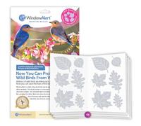 WindowAlert Leaf Medley Anti-Collision Decal 4 Pack - UV-Reflective Window Decal to Protect Wild Birds from Glass Collisions - Made in The USA