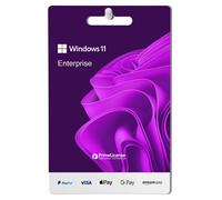 Windows 11 Enterprise
