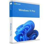 Windows 11 Professional