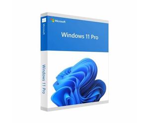 Windows 11 Professional | Full version