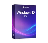 Windows 11 professional download & license key