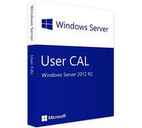Windows Server 2012 R2 User CAL 1 CAL