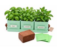 Windowsill Herb Pots Set on Tray (Mint Green, Complete Kit with Herbs) | 3 Square Steel Pots, 10.5 cm, with Leather Effect Handles